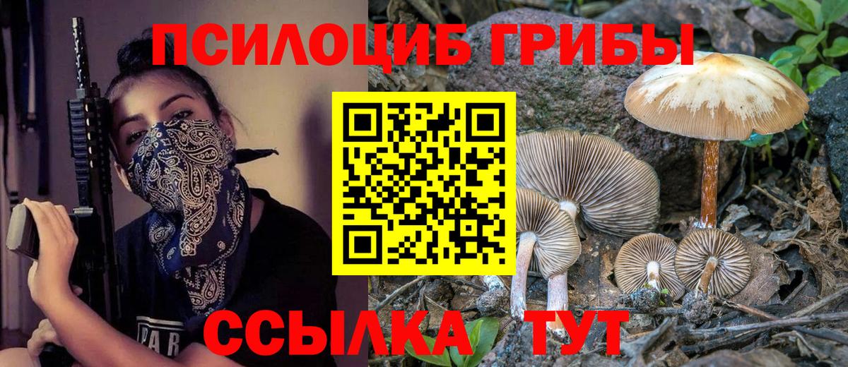 Краснокаменск  Галлюциногенные грибы Magic Shrooms  Вход с VPN  Псилоцибиновые грибы MAGIC MUSHROOMS 